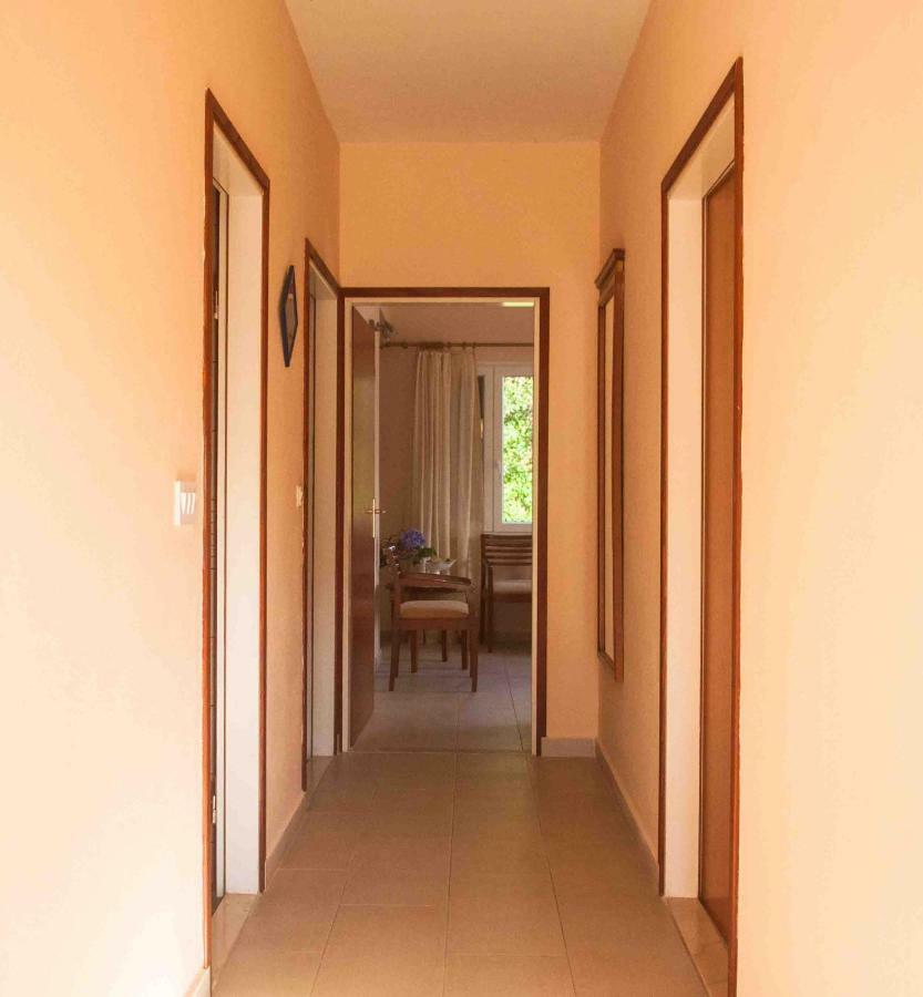 Apartment Jelena Molunat Extérieur photo
